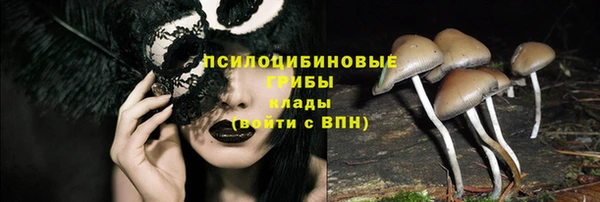 мдма Гусев