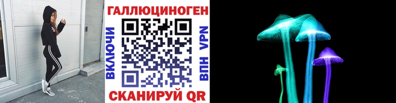 Галлюциногенные грибы Psilocybe Каменск-Шахтинский