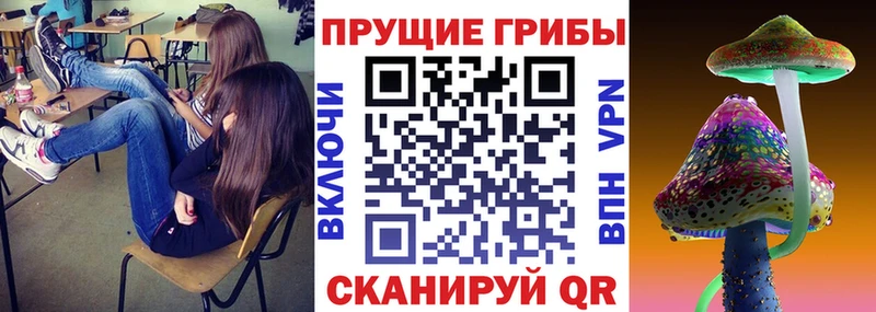 blacksprut рабочий сайт  Каменск-Шахтинский  Псилоцибиновые грибы мицелий 